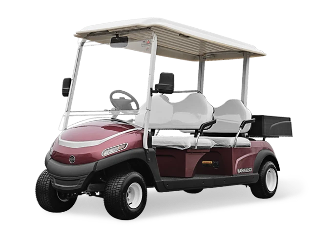 4 Seat Cargo Electric Vehicle