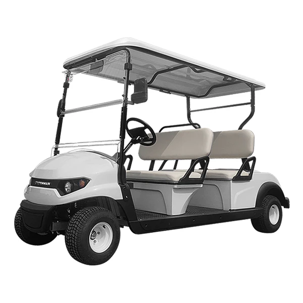 AC Motor golf car